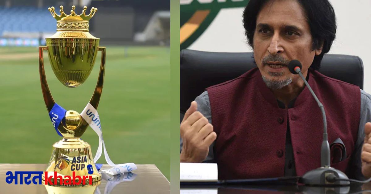 asia cup, bcci, pcb, ramiz raza