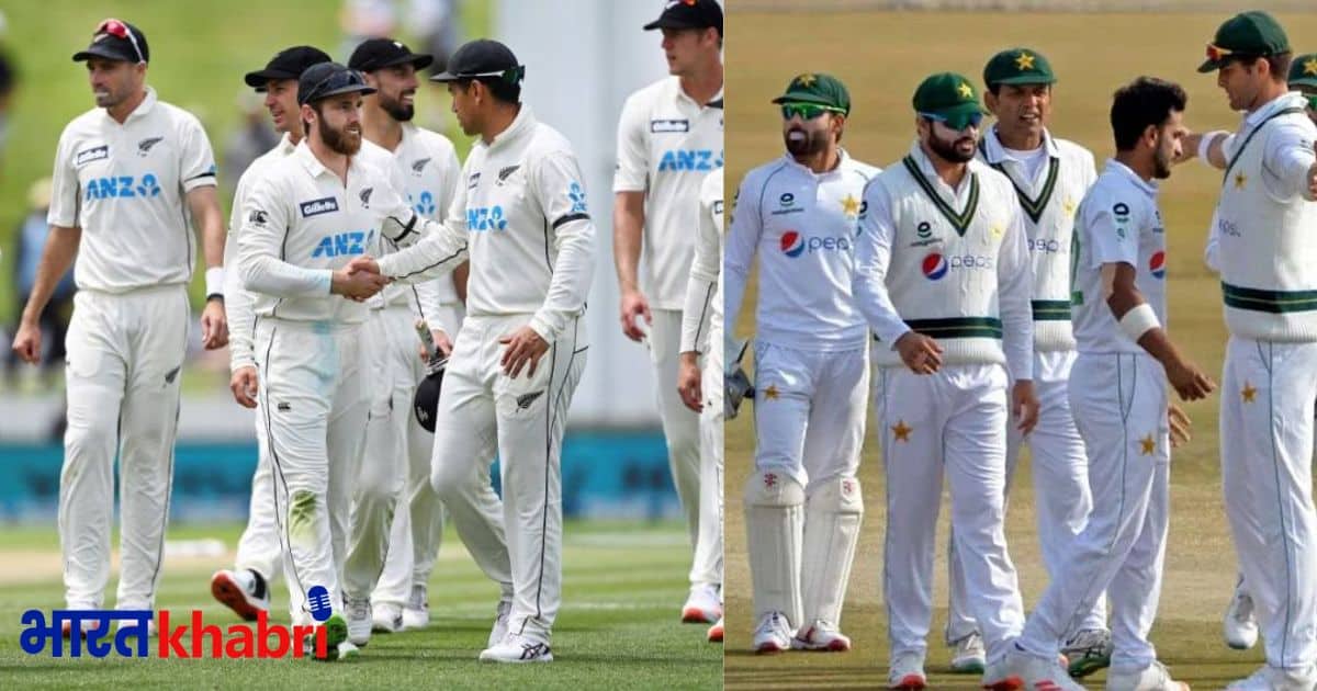 pakistan vs newzealand, pakistan cricket, pakistan, newzealand