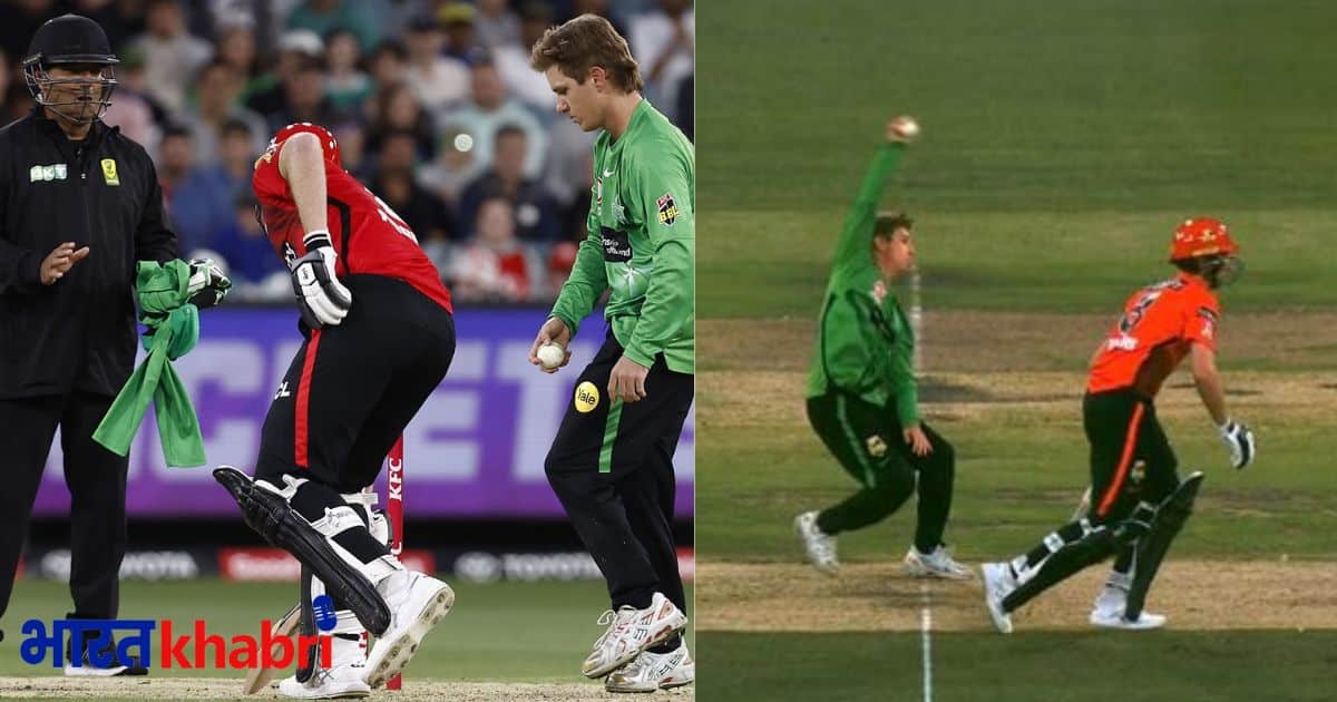 bbl, big bash league, melborne star vs melbourne renegedes, adam zampa