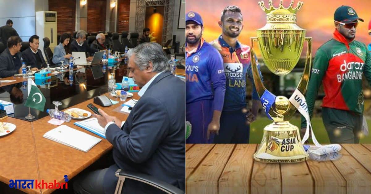 bcci, pcb, afghanistan cricket board, asia cup, pakistan cricket,