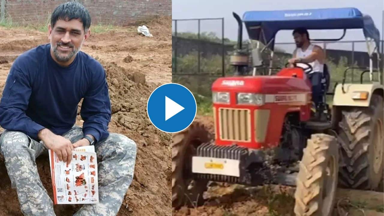 MS Dhoni, MS Dhoni farming, indian cricketer,